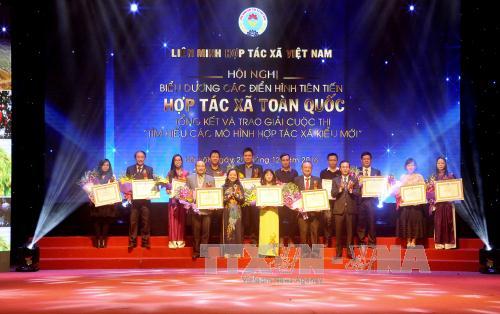 Biểu dương các điển hình tiên tiên tiến hợp tác xã ảnh 1